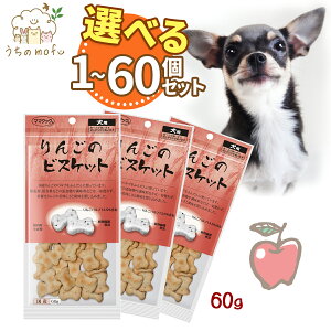 |Cg5{}}NbN  p   񂲂̃rXPbg 60g ̂  Ic Y Y ybg  a + mofu|PbgeBbVt