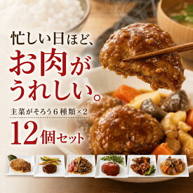テレビで紹介されました！ メインお肉のおかず 6種×2個 計12個セット レトルトおかず 保存料 着色料 無添加 常温保存 非常食 手土産 贈り物 レトルト食品 詰め合わせ 保存食品 非常食 防災 避難食
