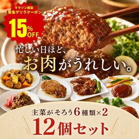 テレビで紹介されました! メインお肉のおかず 6種×2個 計12個セット レトルトおかず 保存料