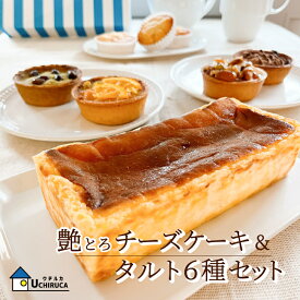 お歳暮・新春ご挨拶に！【艶とろチーズケーキと人気のタルト6種セット】濃厚チーズケーキ贅沢セットお取り寄せスイーツ　お取り寄せ焼き菓子　チーズケーキ　キャラメルナッツ　オレンジピスタチオ　抹茶大納言　ショコラ　お誕生日　お礼　お祝い　お歳暮ギフト