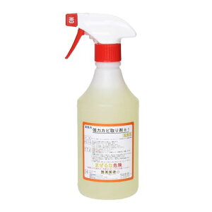  ̓Jr B-1 Ɩp ̓Xv[^Cv 500ml C  łȍJr
