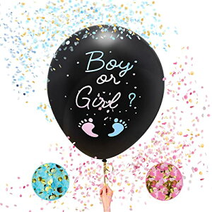 aplans WF_[r[ Ԃ  D \ ʔ\ WF_[r[o[ P[L RtFbeBo[ aplansIWifUC (DȂ)