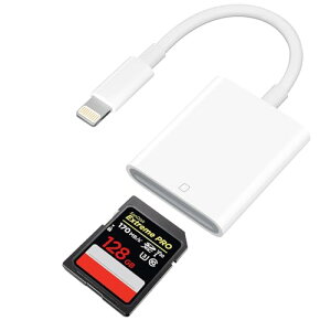 SDJ[h[_[ iPhone y2025Vo MFiFؕizCgjO sd J[h[_[ iPhone/iPadɓKp ݒsv fWJ X}z] o f[^] ʐ^//Word ǂݍ OTG@\ SDJ[h 