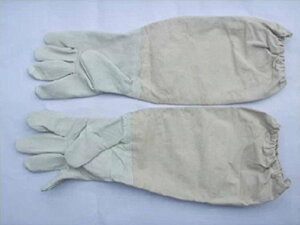 SǃK[h h   O[u Q쏜 I 쏜 Ԃ  ΍ 悯 {I  K[fjO R