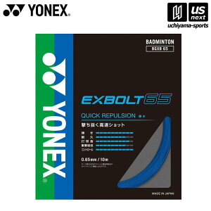 lbNXy YONEX zoh~g Kbg GNX{g65 u[ BGXB65[M 1/2][][]