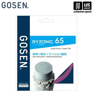 S[Zy GOSEN z oh~g Kbg RYZONIC65 p[vyBSRY65PU RYZONIC C]jbN65 oh~gKbg PbgANZT[z [M 1/2][][]