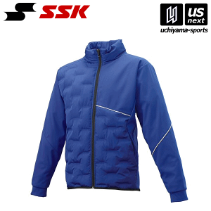 GXGXPCy SSK z BWD2000 ȃWPbg (63)Du[ 2025Npfy[֕sz[][]