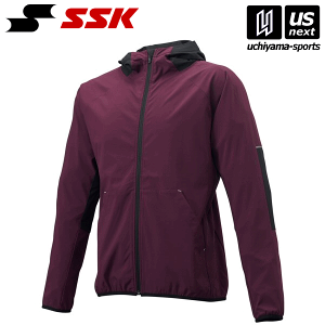 GXGXPCy SSK z 싅 vW tZIP{fBOp[J[ BWP2001 i2290jGW×ubN 2025Npf y[֕sz[][]