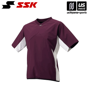 GXGXPCy SSK z BWP2004H V{fBOWPbg (2210)GW×zCg 2025Npfy[֕sz[][]