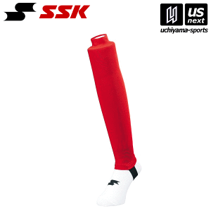 GXGXPCy SSK z YA6610 |XgbLO (20)bh 2025Npf[M 1/1][][]