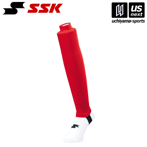 GXGXPCy SSK z YA6610J WjA|XgbLO (20)bh 2025Npf[M 1/1][][]