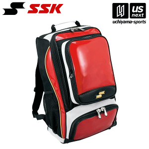 GXGXPCySSKz 싅 GiobNpbN BA1010 i2238jGW×S[h 2025Npfy[֕sz[][]