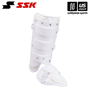 yN[|zzzGXGXPCySSKz 싅 tbgK[hiEŎҗpj FG100L i10jzCg 2025Npfy[֕sz[][]