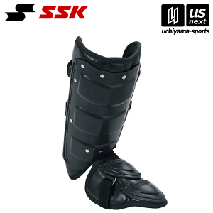 GXGXPCySSKz 싅 tbgK[hiEŎҗpj FG100L i90jubN 2025Npfy[֕sz[][]