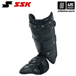 GXGXPCySSKz 싅 tbgK[hiŎҗpj FG100R i90jubN 2025Npfy[֕sz[][]