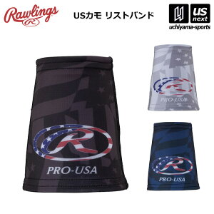 yN[|zzz[OX y Rawlings z 싅 USJ Xgoh p 2 2025Ntăf y AAW15S02 ANZT[ ǂ K g[jO \tg{[ j 