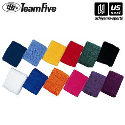 チームファイブ Team Five バスケットボール プチリスト(TFWRIST)