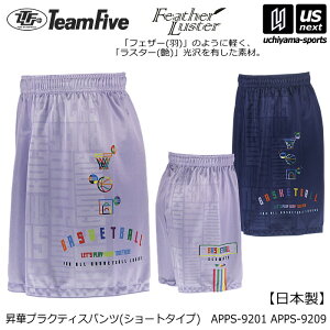 �`�[���t�@�C�u�y Team Five �z �o�X�P�b�g�{�[�� �����Y ���؃v���N�e�B�X�p���c �V���[�g�^�C�v 2026�N�t�ă��f���y APPS9201 APPS9209 �o�X�p�� �v���p�� �o�X�P�b�g�p���c �z�y�����z�B�Ώہz�y