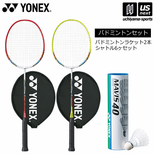 バドミントンラケット ヨネックス 2本の人気商品・通販・価格 バドミントンラケット ヨネックス 2本の人気商品・通販・価格