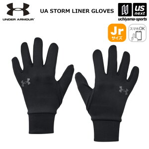 A_[A[}[ y UNDER ARMOUR z WjA  UAXg[ Ci[O[u 2024Npf y 1365977 LbY ǂ X}zΉ K g[jO ʊw wZ ubN zyzB