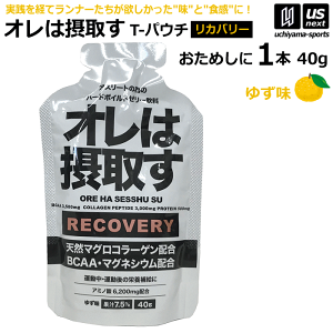 �I���͐ێ悷 RECOVERY ���J�o���[ �䂸�� 40g×1�� �o������ �[���[���� ��H�W�F���y���͐ێ悷 ��H�[���[ �}���\�� �����j���O �g���C�A�X���� �A�~�m�_ BCAA �T�v���z�y�����z�B�Ώہz�y��