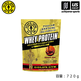 ゴールドジム【GOLD’S GYM】ホエイプロテイン チョコレート風味 （720g）【F5572/WHEY PROTEIN/720g/サプリメント】【あす楽対応】【メール便不可】[自社]