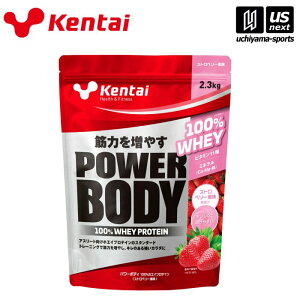 �y�����������N�[�|���z�z���z���N�̗͌������yKENTAI / �P���^�C �z�p���[�{�f�B100%�z�G�C�v���e�C�� �X�g���x���[���� 2.3kg�yK0346 �z�G�C�v���e�C�� �X�|�[�c�T�v�������g �A�X���[�g�z�y