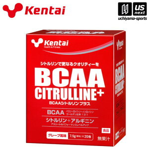 N̗͌yKENTAI / P^C zBCAA VgvX 7.5g×20y K5503 BCAAVgvX X|[cTvg A~m_ AX[gzy[֕sz[][]
