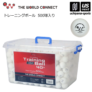 UE[hRlNg 싅 TWC [hEg[jO{[ 40+ 500 2025Npfy DV003A n[hP[X g[jO{[ g K 싅{[ vX`bN{[ zy