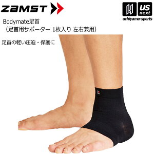 UXgyZAMSTz{fB[Cg pT|[^[ Bodymate 2025Npfy1iЕj/Ep/T|[^[zy[֕sz[][]