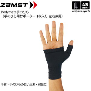 yN[|zzzUXgyZAMSTz{fB[Cg ̂ЂpT|[^[ Bodymate 2025Npfy1iЕj/Ep/̂ЂT|[^[zy[֕sz[]