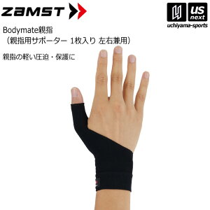 UXgyZAMSTz{fB[Cg ewpT|[^[ Bodymate 2025Npfy1iЕj/Ep/ewT|[^[zy[֕sz[][]