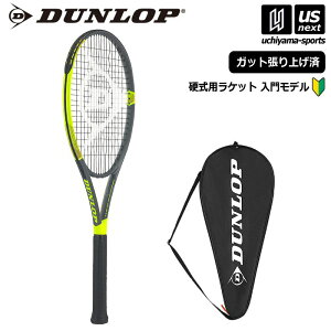 _bvy DUNLOP z d ejXPbg _bv tbV 270 DS22107 2025Npfy DUNLOP FLASH 270 dPbg XgOXグ Kbgオi zyzBΏہzy