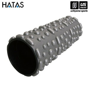 HATASy `^/`/n^ zgxtH[[[~jyFSS300 tH[[[ GNTTCY ̗͌z[][]