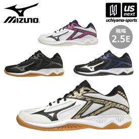 ミズノ 【 MIZUNO 】 バレーボールシューズ サンダーブレード 3 2023年継続モデル 【 V1GA2170 THUNDER BLADE レディース メンズ 初心者 新入部員 ブラック ホワイト 】【あす楽対応 365日出荷】【メール便不可】[物流]