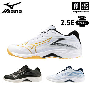 �~�Y�m �y MIZUNO �z �o���[�{�[���V���[�Y �T���_�[�u���[�h Z 2025�N�p�����f�� �y V1GA2370 THUNDER BLADE ���f�B�[�X �����Y ���S�� �V������ �u���b�N �z���C�g �z�y�����z�B�Ώہz�y���[���֕s��