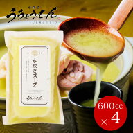 形崩れで特価 うちょうてん 水炊きスープセット 600ml×4 送料無料 指定日配送可 水たき 鍋 カレー ちゃ…