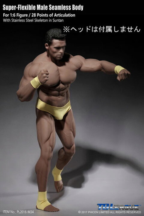 楽天市場】【TBLeague】PL2016-M34 male super flexible seamless body 