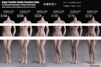 楽天市場】tbleague ヘッドの通販