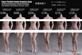 【TBLeague】female super flexible seamless body S18A S19B S20A S21B S22A S23B TBリーグ 1/6スケール シームレス女性ボディ （ヘッドなし）素体 デッサン人形