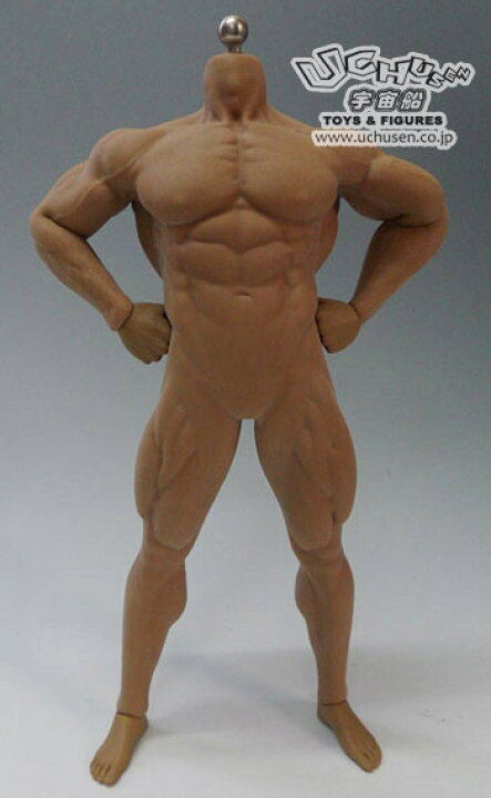 楽天市場】【TBLeague】PL2018-M35 male super flexible seamless body 