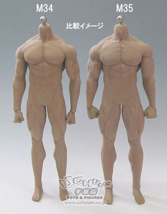 楽天市場】【TBLeague】PL2018-M35 male super flexible seamless body 