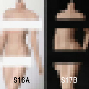 �yTBLeague�zfemale super flexible seamless body PLMB2016-S16A S17B TB���[�O 1/6�X�P�[�� �V�[�����X�����{�f�B �A�W�A�i�w�b�h�Ȃ��j�f�� �f�b�T���l�`
