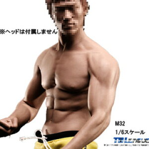 �yTBLeague�zSuper flexible Asia Male Seamless Body PL2016-M32 TB���[�O 1/6�X�P�[�� �V�[�����X�j���{�f�B�i�w�b�h�Ȃ��j �f�� �f�b�T���l�`