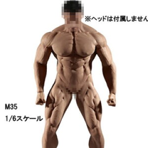 �yTBLeague�zPL2018-M35 male super flexible seamless body with metal skeleton TB���[�O 1/6�X�P�[�� �V�[�����X�j���{�f�B�i�w�b�h�Ȃ��j�f�� �f�b�T���l�`