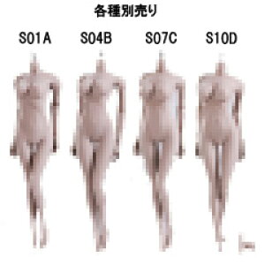 �yTBLeague�zfemale seamless body PALE series not head S01A S04B S07C S10D TB���[�O 1/6�X�P�[�� �V�[�����X�����{�f�B �y�[���i�w�b�h�Ȃ��j�f�� �f�b�T���l�`