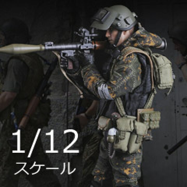 楽天市場 Crazyfigure Lw008 1 12 Russian Alpha Special Forces Grenadier スペツナズ ロシア連邦保安庁特殊任務部隊 アルファグループ ベスラン04 1 12スケールフィギュア 宇宙船 Toys Figures 楽天市場店