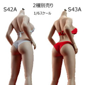 【TBLeague】Female Super Flexible Seamless Bodies PLLB2020-S42A (pale) S43A (suntan) TBリーグ 1/6スケール シームレス女性ボディ （ヘッドなし）素体 デッサン人形