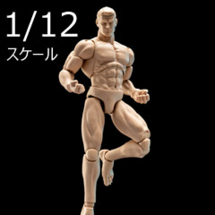 楽天市場 Gwtoys G 001 Figure Body 1 12th Scale Action Figure For Custom 1 12アクションフィギュアボディ デッサン人形 1 12スケールフィギュア 男性ボディ素体 宇宙船 Toys Figures 楽天市場店