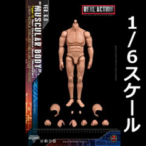 ySoldier StoryzSSA-003 1/6 MUSCULAR BODY Type-C ėpjf }XL[^Cv 1/6XP[ j{fBf